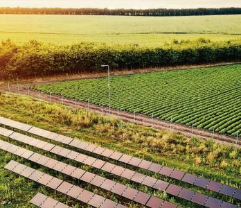 innovative-solutions-agro-zoological-power-plant_2400x1160