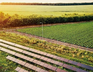 innovative-solutions-agro-zoological-power-plant_2400x1160