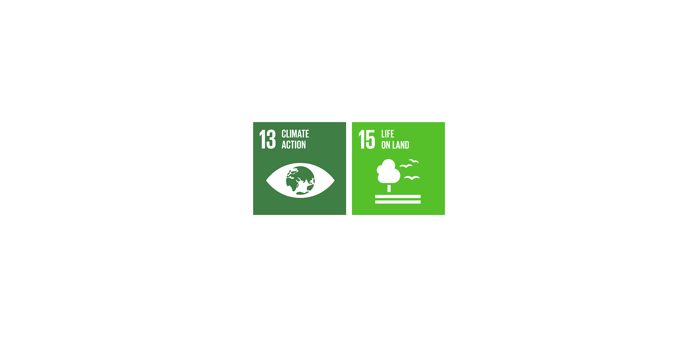 13-15-sdgs_2400x1160