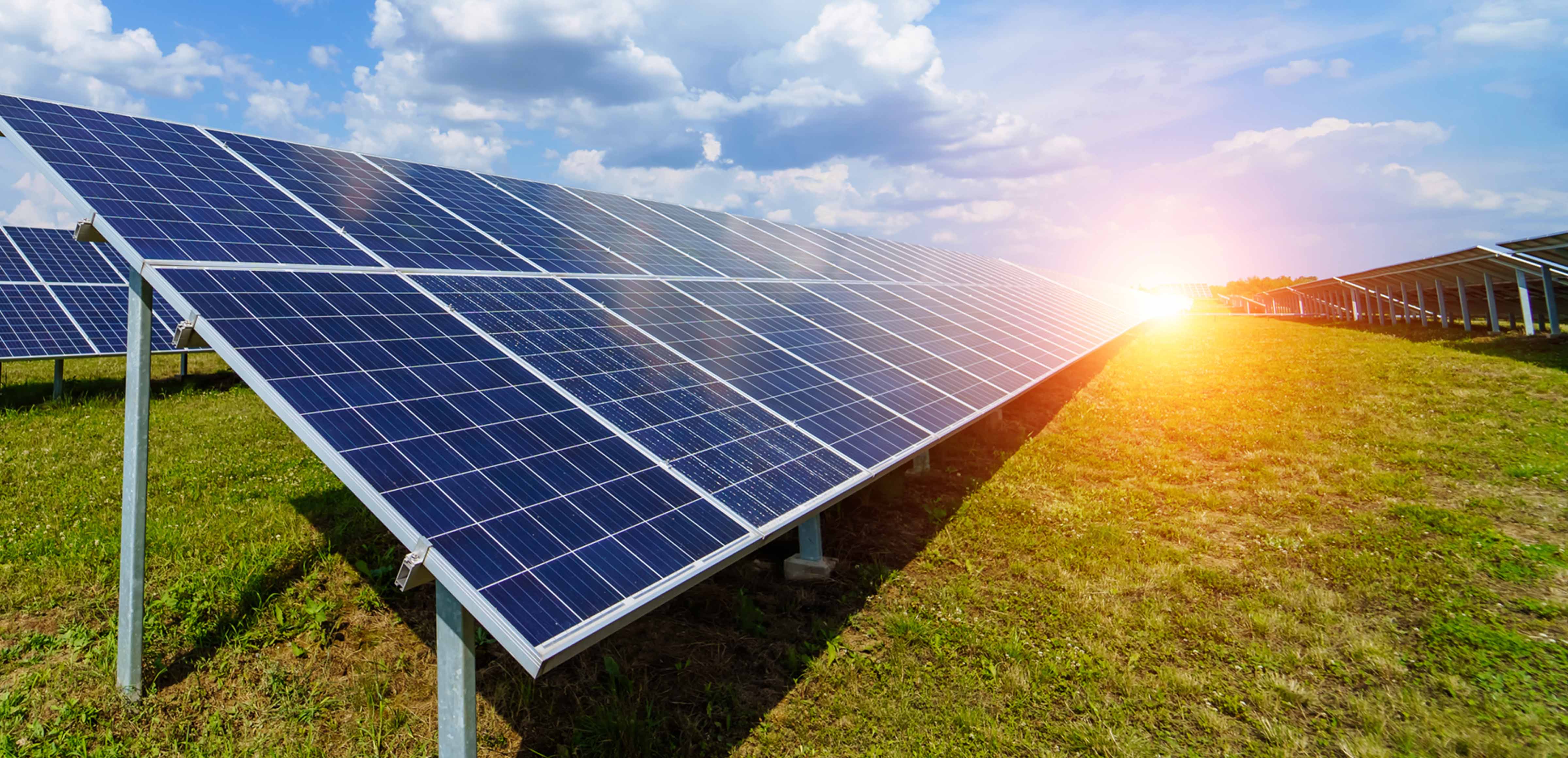 filas de paneles fotovoltaicos en un campo; el sol se refleja en los paneles; cielo azul con nubes de fondo